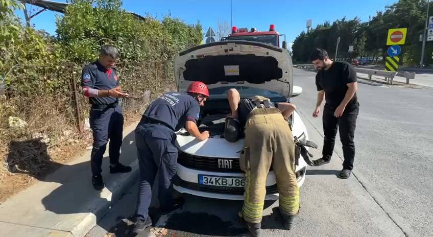 Yaramaz yavru kediler iş başında itfaiye de peşlerinde 7